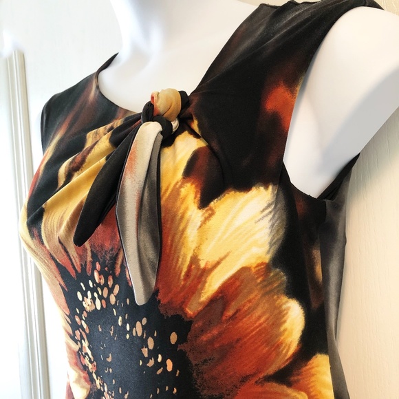 Lovely Carole Little Sleeveless Dress  Size: 6 - Picture 5 of 12